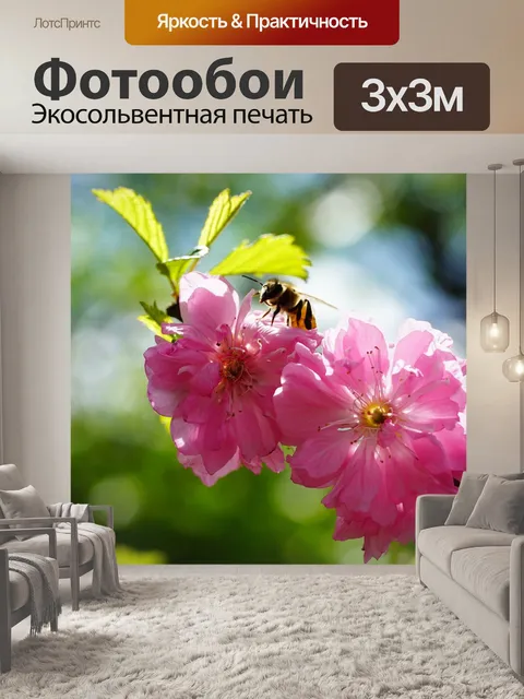 Фотообои Цветок