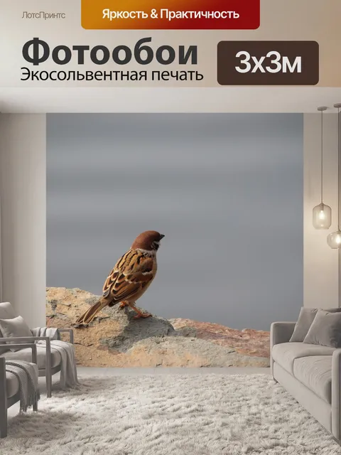 Фотообои Воробей