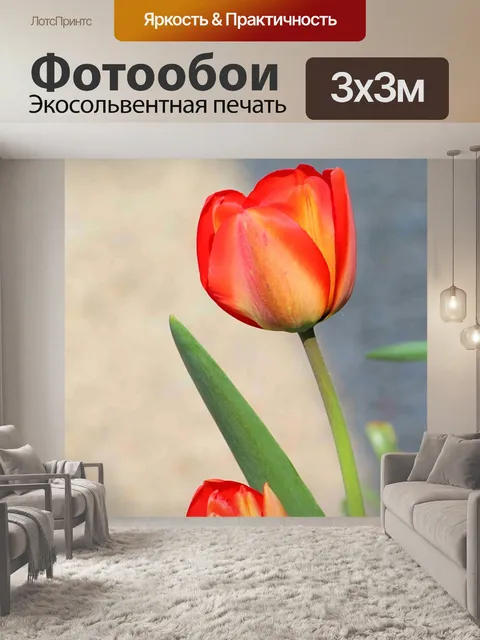 Фотообои Цветок
