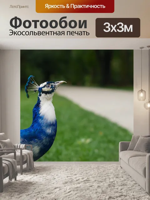 Фотообои Павлин