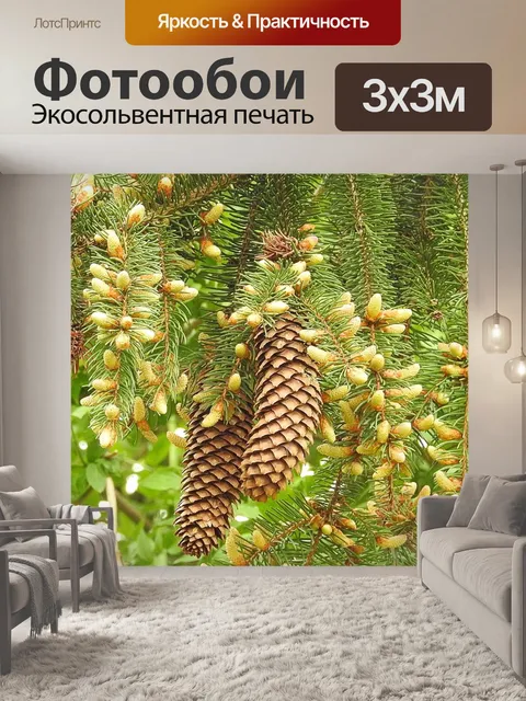 Фотообои Ель