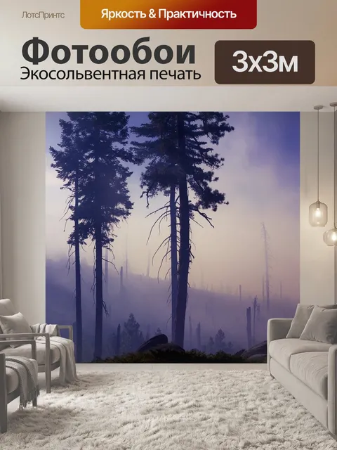 Фотообои Туман