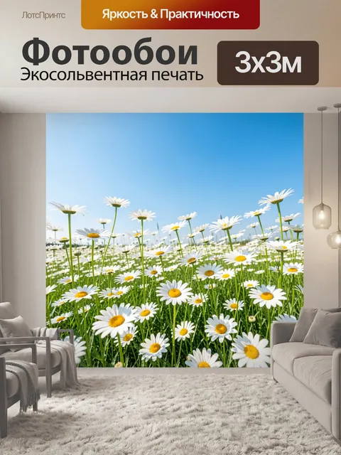 Фотообои Ромашковое поле под голубым небом