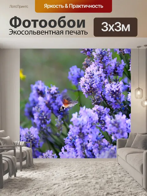 Фотообои Лаванда