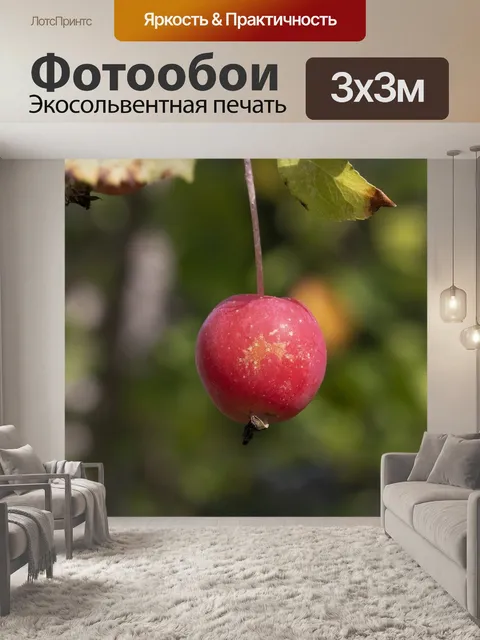 Фотообои Осень