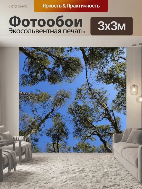 Фотообои Лес