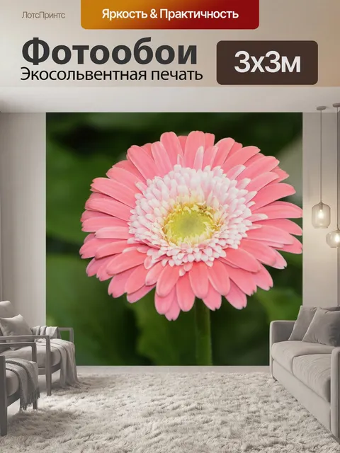 Фотообои Цветок