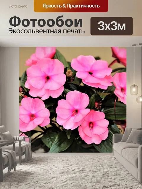 Фотообои Розовые цветы Impatiens 2
