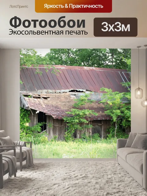 Фотообои Заброшенный дом в сельской местности