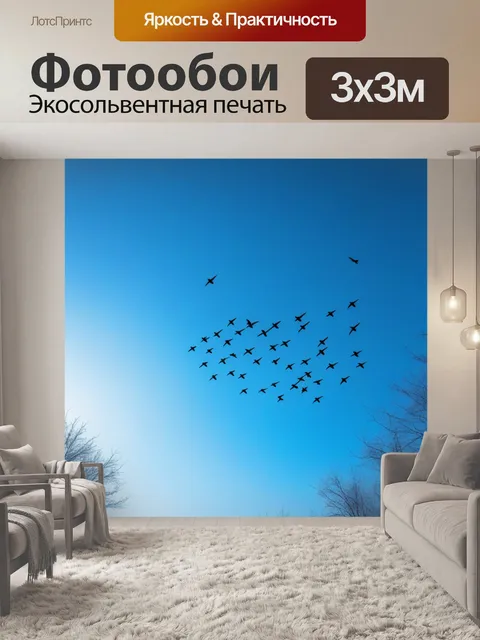 Фотообои птицы, летящие в небе зимой
