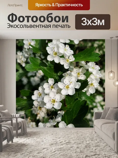 Фотообои Цветов