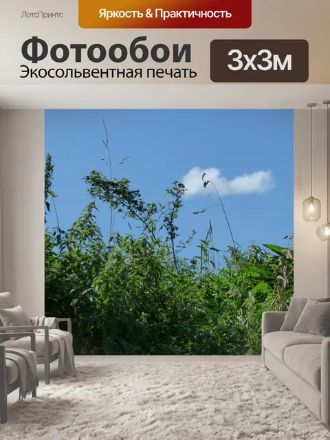 Фотообои Пейзаж Природа