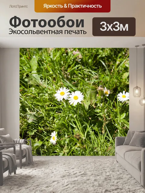Фотообои Фон