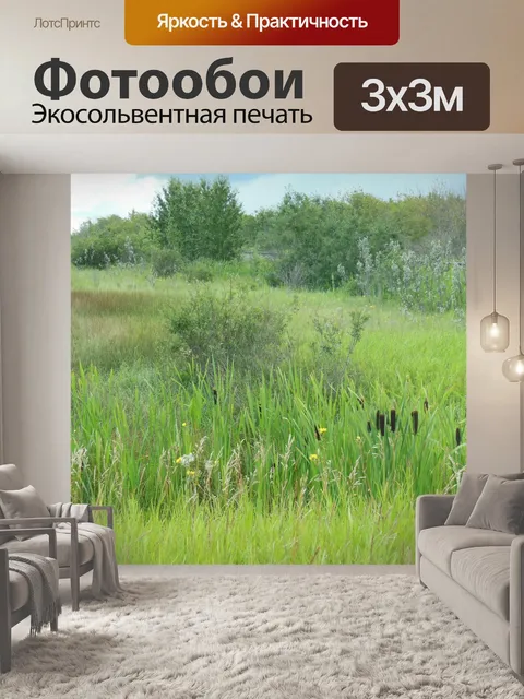 Фотообои Травяные травы