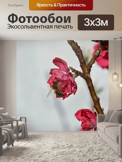 Фотообои Пчела