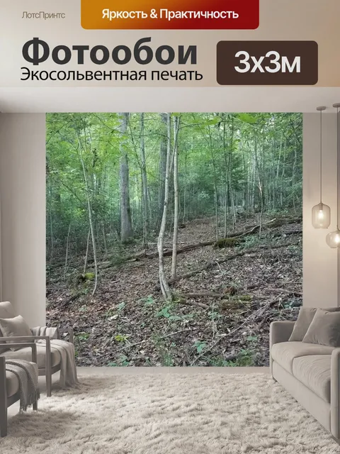 Фотообои Поход