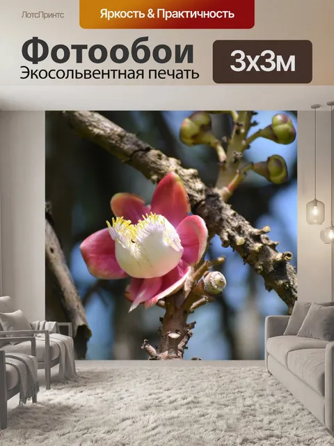 Фотообои Цветок
