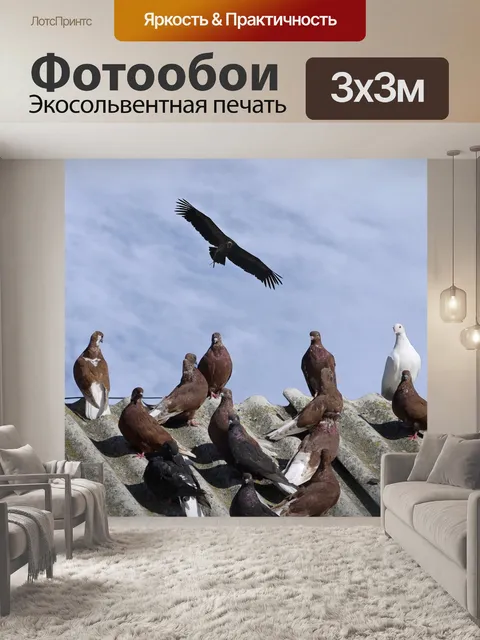Фотообои Птицы