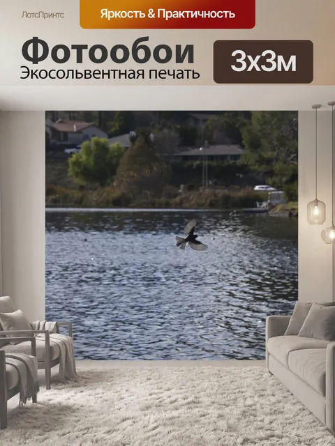 Фотообои Птица в полете над озером