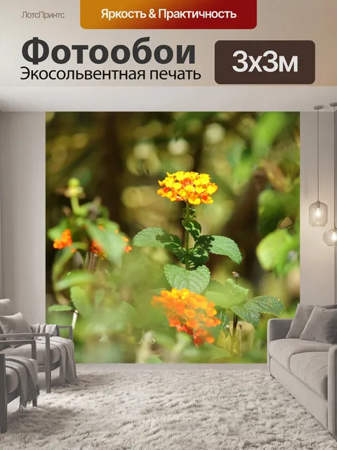 Фотообои оранжевый крошечные цветы 2