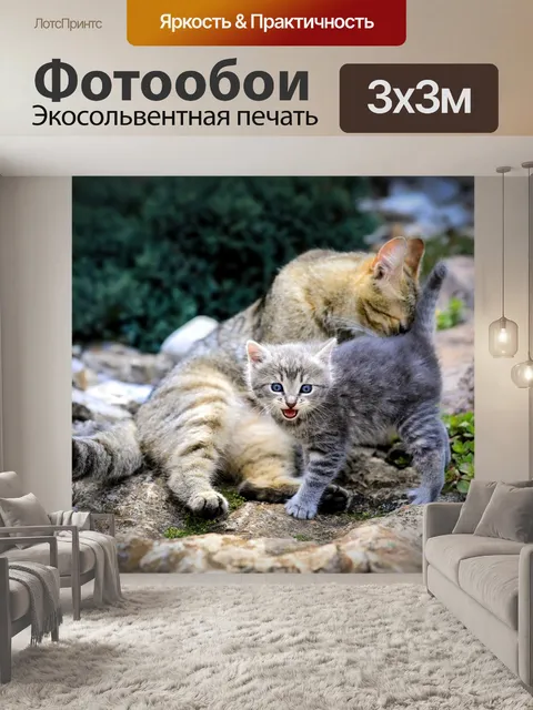 Фотообои Кошки