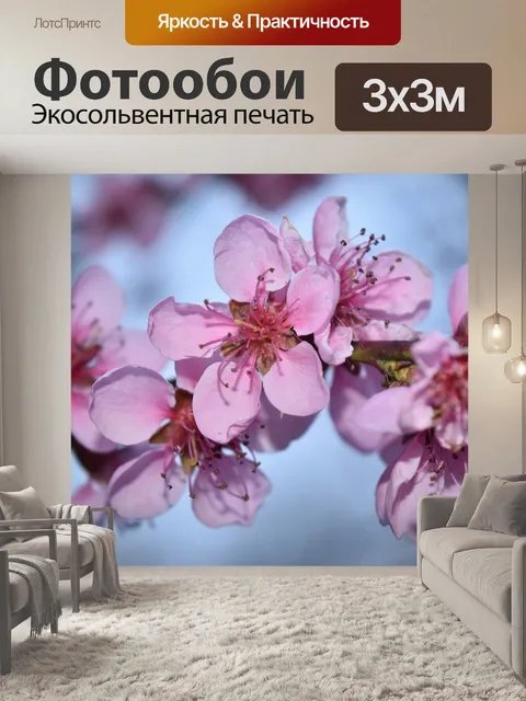 Фотообои Цветок