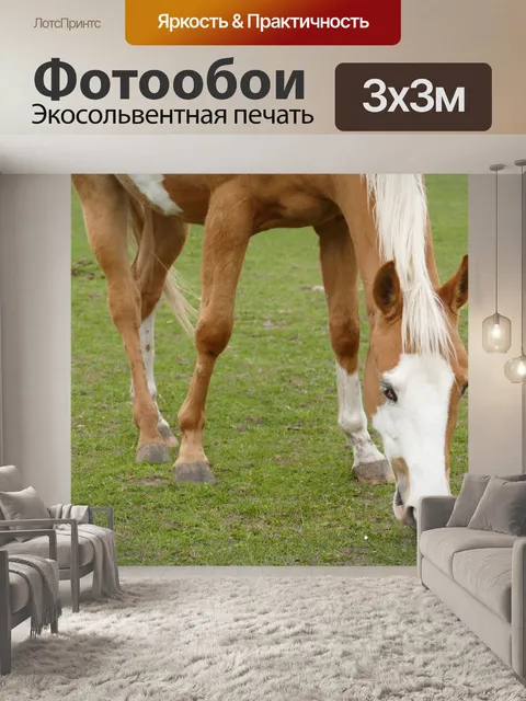 Фотообои Лошадь