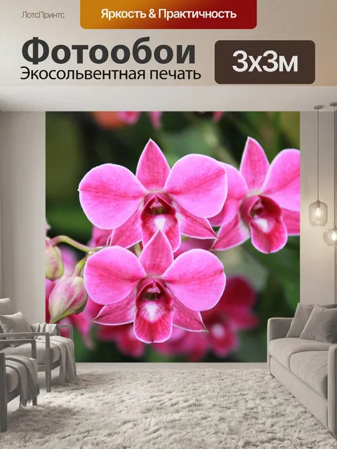 Фотообои Орхидеи