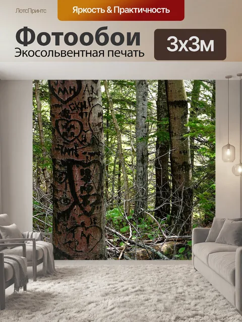 Фотообои Лес