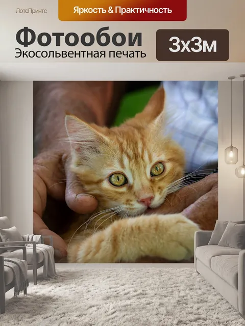 Фотообои Милый