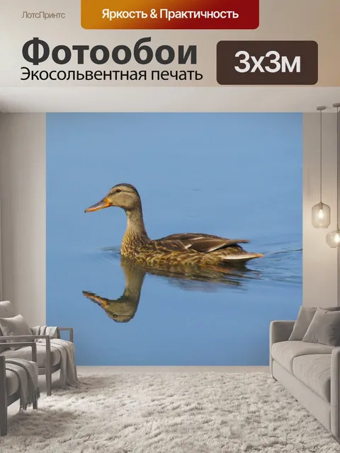 Фотообои Птицы