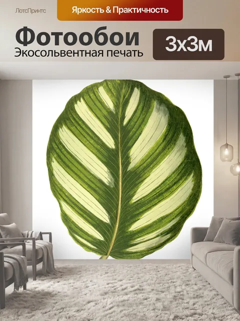Фотообои Листва лист растение прозрачный