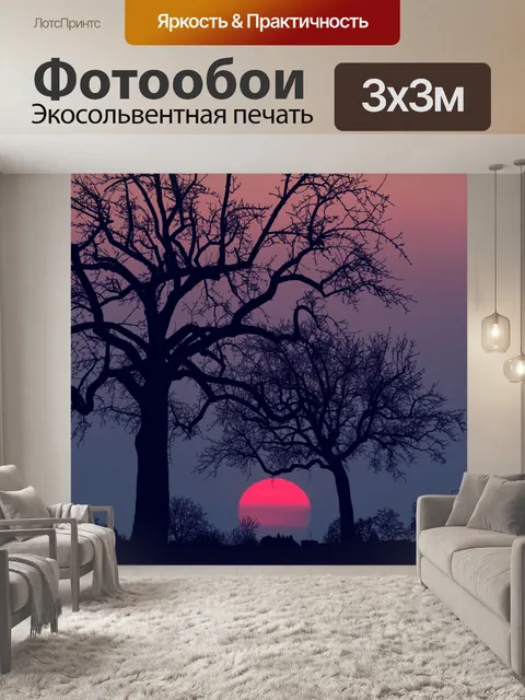 Фотообои Пейзаж заката дерева