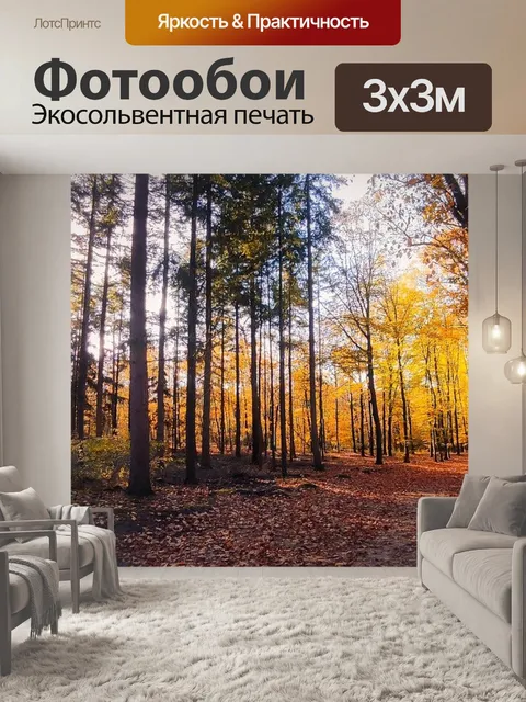 Фотообои Лес