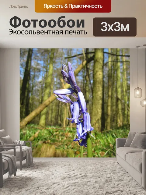Фотообои Колокольчик