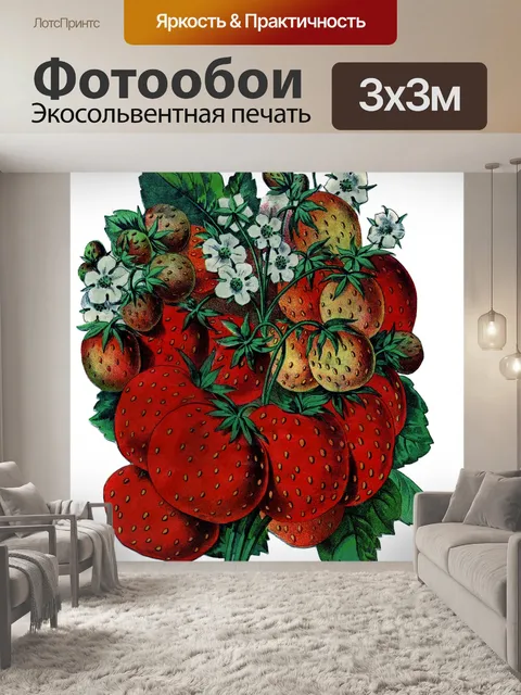 Фотообои Клубника Винтаж Иллюстрация