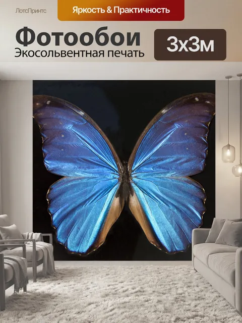 Фотообои Бабочка