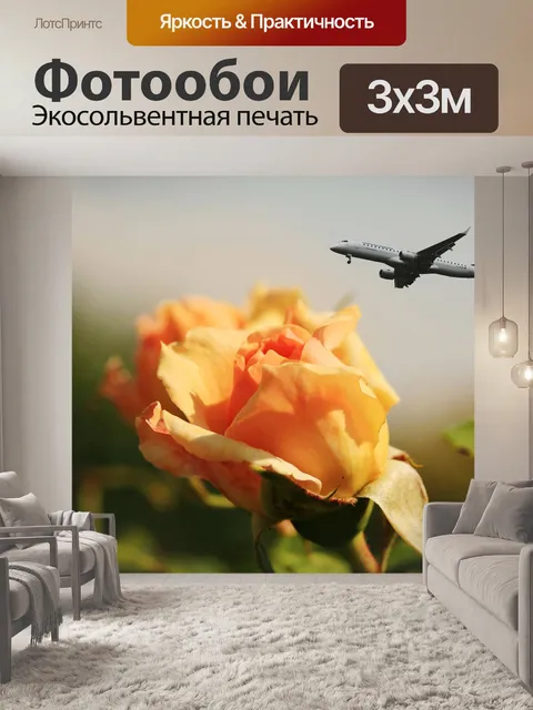 Фотообои Авиатор