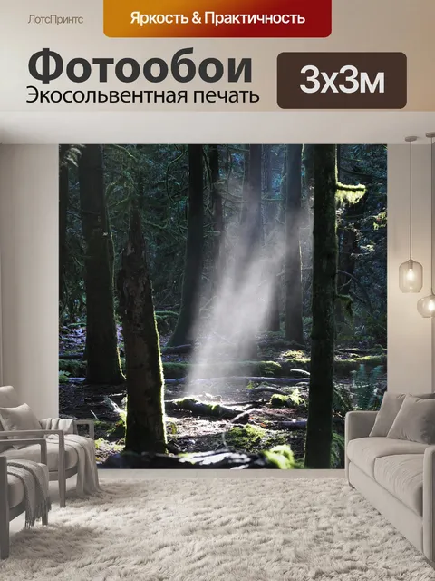 Фотообои Лес