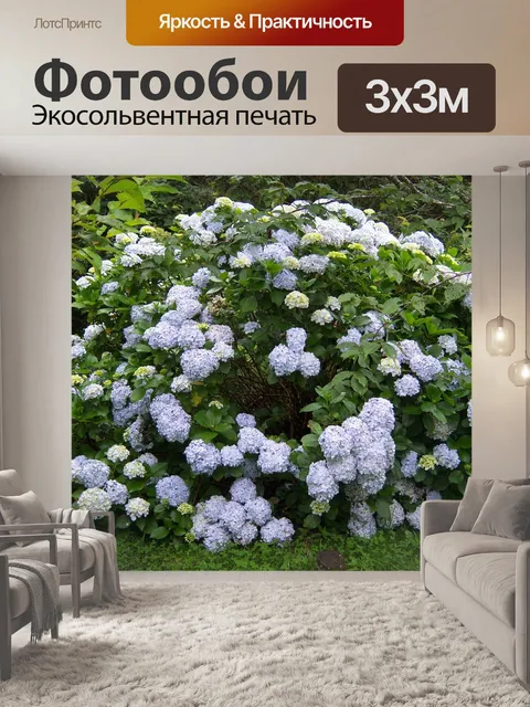 Фотообои Гортензии