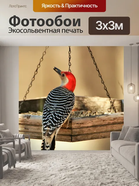 Фотообои Рыжий дятел в фидере 2