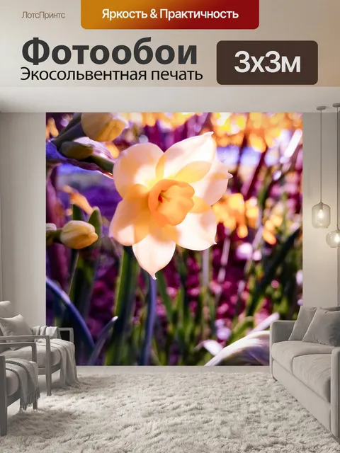 Фотообои Нарцисс