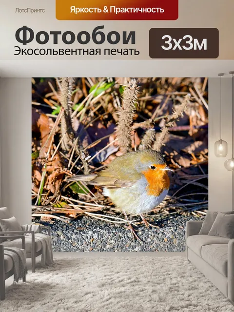 Фотообои Певчие птицы