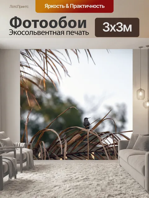 Фотообои сидит Колибри