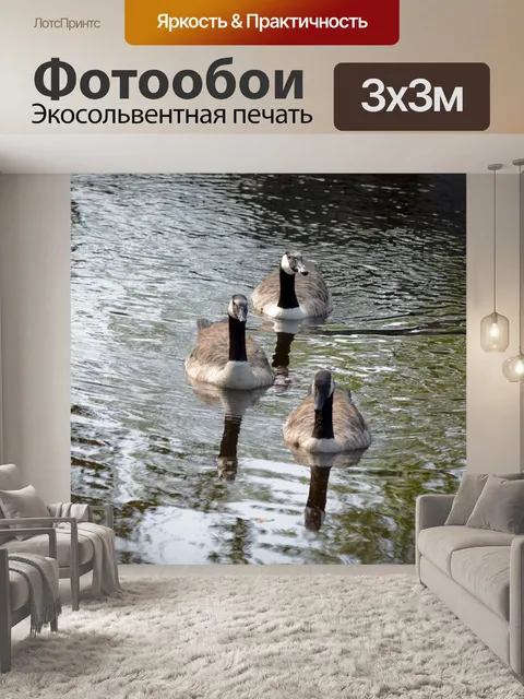 Фотообои Гуси на озере