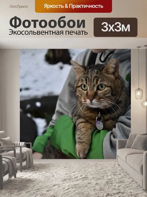 Фотообои Кошка