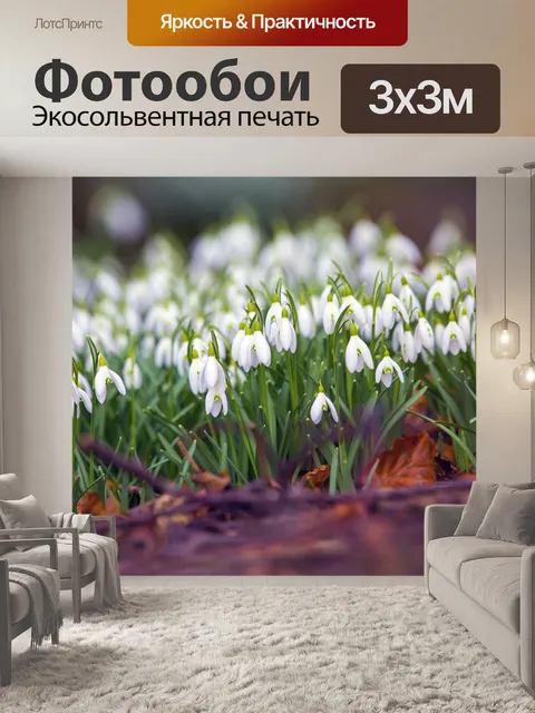 Фотообои Подснежники