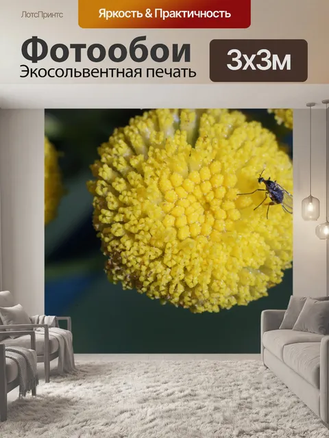 Фотообои Цветок
