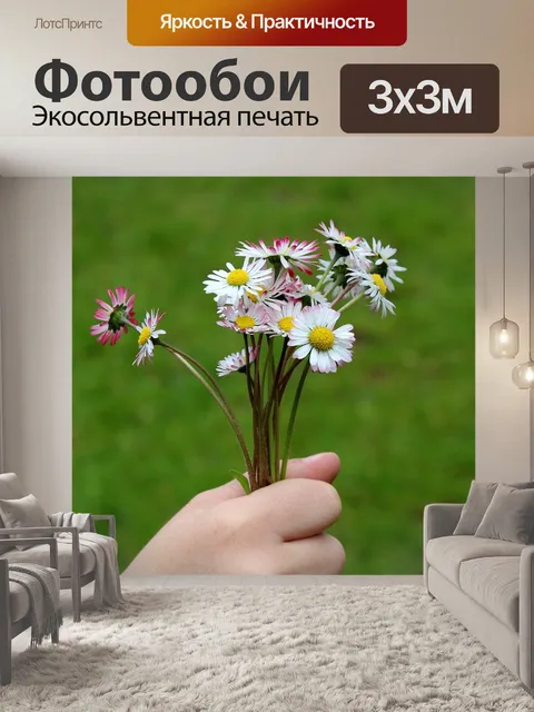 Фотообои Ромашки