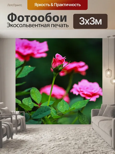 Фотообои Цветы
